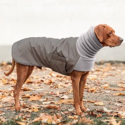 COSY HOODIE | Rhodesian Ridgeback | STONE / STONE 