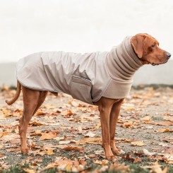 COSY HOODIE | Rhodesian Ridgeback | Taupe / Taupe 