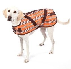 COAT Stable Deluxe | Orange/Brown
            