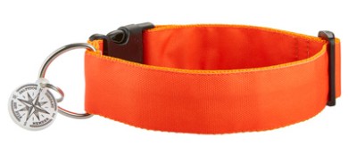 SALTYDOG ® PURE  | NEON ORANGE
            