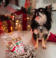 Woofmas Cookies |  Rindleisch 