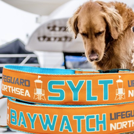 SALTYDOG ® BAYWATCH | S Y L T