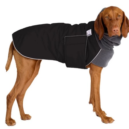 Vizsla | Hundemantel | SCHWARZ