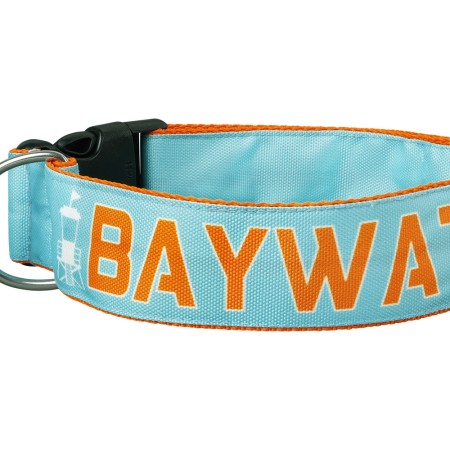 SALTYDOG ® BAYWATCH | Türkis  7 SEAS