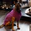 Double Jogger  |  AUBERGINE