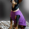 Double Jogger  |  AUBERGINE