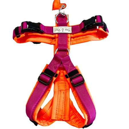 Y Brustgeschirr | Fuchsia - Neonorange