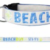 SALTYDOG ® Beach Boy 54°