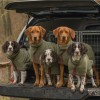 Hundebademantel | Moos