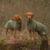 Hundebademantel | Moos