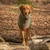 Hundebademantel | Moos