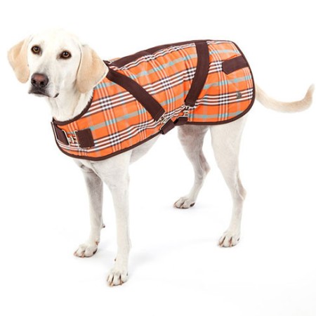 COAT Stable Deluxe | Orange/Brown