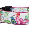 SALTYDOG ® COLIBRI GIRL