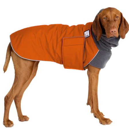 Vizsla | Hundemantel | ORANGE