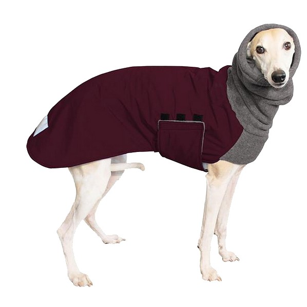 Whippet dog coats outlet