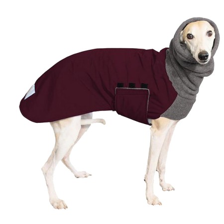 Windhundmantel | Winter | Whippet | Burgunder