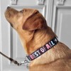 SALTYDOG ® BEST OF ALL