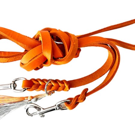 Fettlederleine | Chrom | Orange