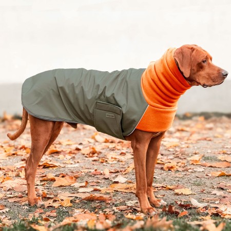 COSY HOODIE | Rhodesian Ridgeback | OLIVE / NEONORANGE