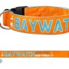 SALTYDOG ® BAYWATCH | ORANGE