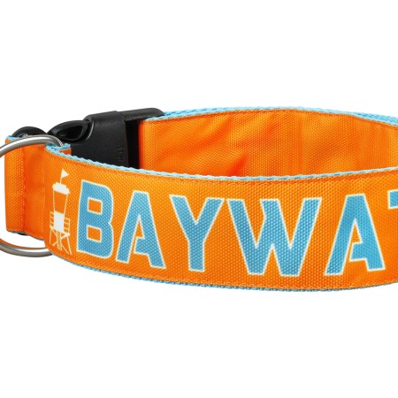 SALTYDOG ® BAYWATCH | ORANGE