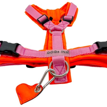 Y Brustgeschirr | Rosa - Neonorange
