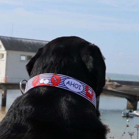 SALTYDOG ® AHOI