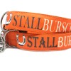 SALTYDOG ® STALLBURSCHE |  COUNTRY