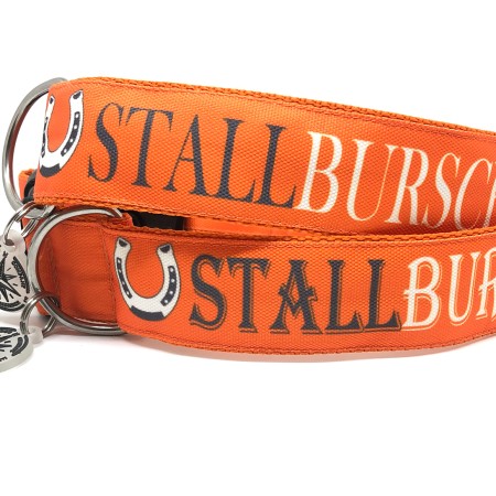 SALTYDOG ® STALLBURSCHE |  COUNTRY