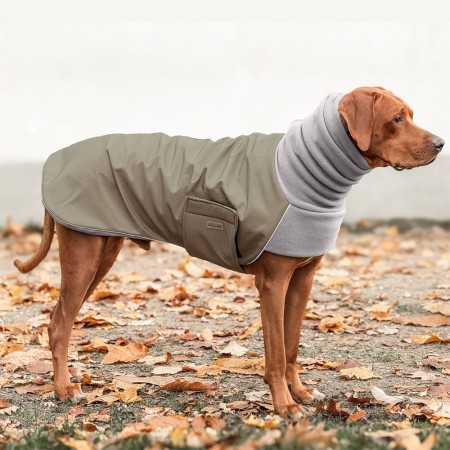 COSY HOODIE | Rhodesian Ridgeback | OLIVE / STONE