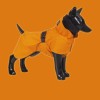 Regenjacke | RECOVERY | Orange