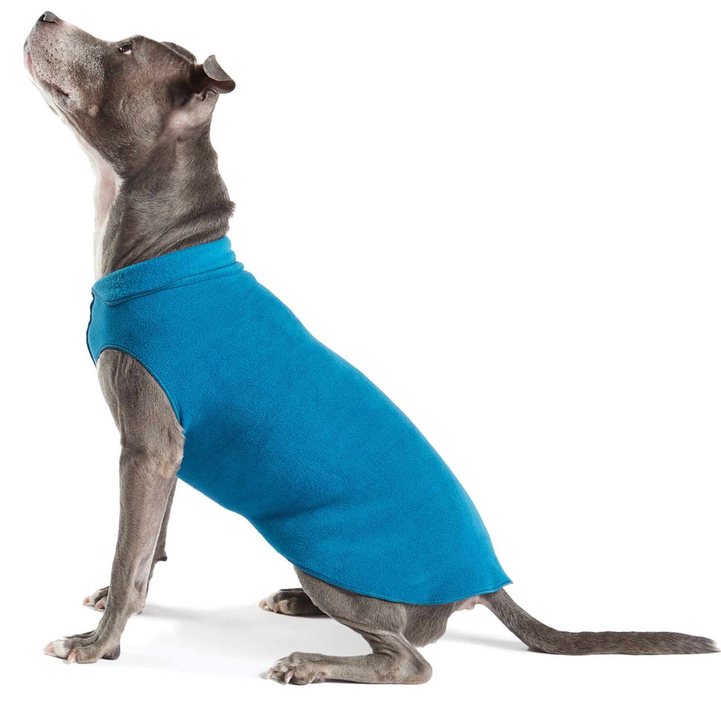 Dogs Inn Manufaktur Double Jogger Petrol Dogs Inn Manufaktur