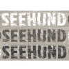 SALTYDOG ® SEEHUND  |  Mud