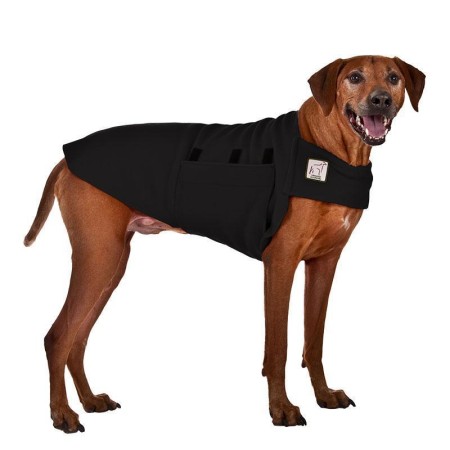Tummy Warmer | Rhodesian Ridgeback | Black