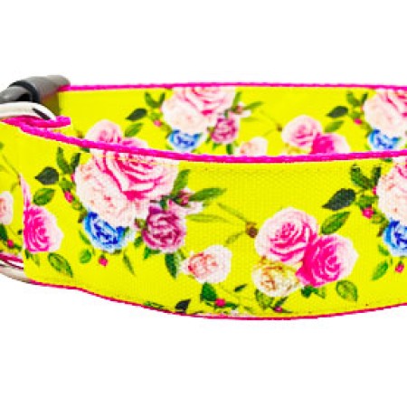 SALTYDOG ® Roses | Yellow