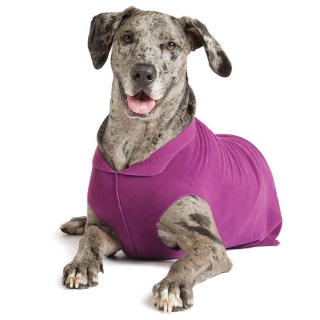 Single  Jogger  |  Aubergine