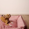 BOXBED  |  CLASSIC  |  GLAM  |  ROSE