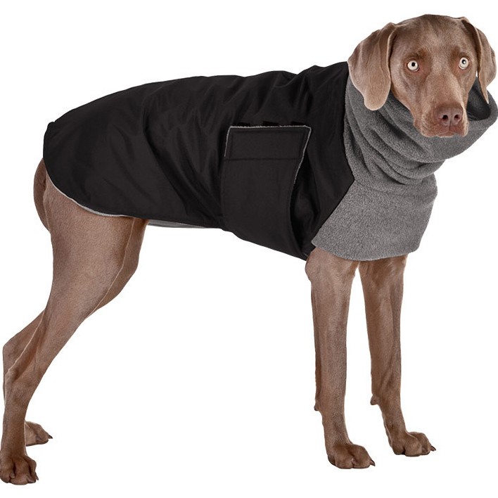 Weimaraner dog coat top