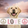 SALTYDOG ® LOVE PEACE PASTELL