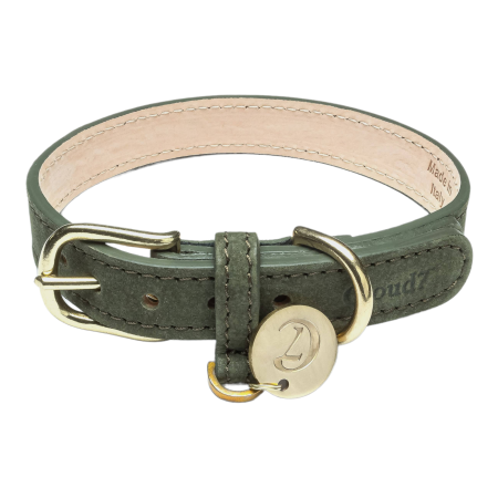 Hundehalsband Tiergarten Nubuk Moos