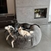 COSYBED  Air | HERMELIN 22  | CHARCOAL