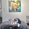 COSYBED  Air | HERMELIN 22  | CHARCOAL