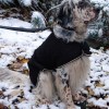 Coat Old England | Black