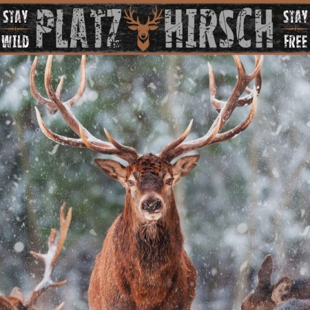 SALTYDOG ® PLATZHIRSCH | Black