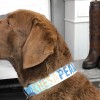 SALTYDOG ® CHESAPEAKE | Camouflage