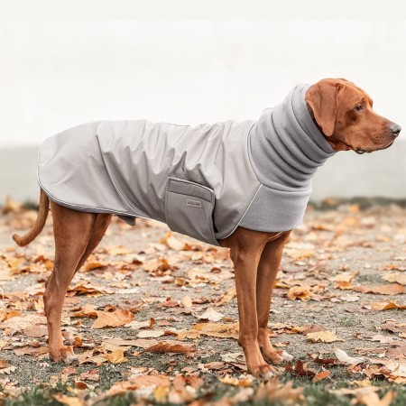 COSY HOODIE | Rhodesian Ridgeback | SILVER / CHARCOAL