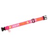 SALTYDOG ® TRAUMHUND  |  Pink