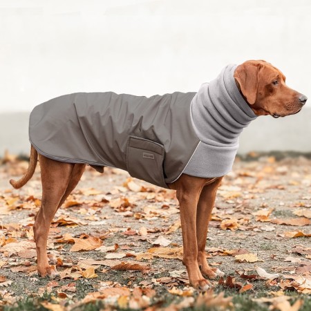 COSY HOODIE | Rhodesian Ridgeback | STONE / STONE