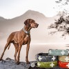 SALTYDOG ® SWISS | Vintage Swiss | STONEHENGE Grey
