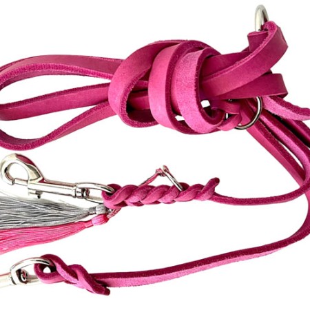 Fettlederleine | Chrom | Pink